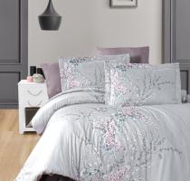 wisteria lilac