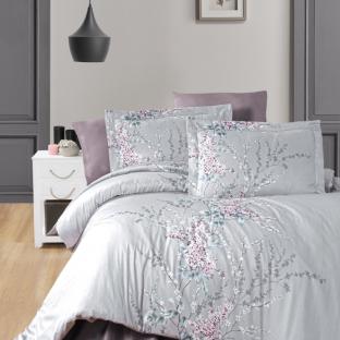 wisteria lilac